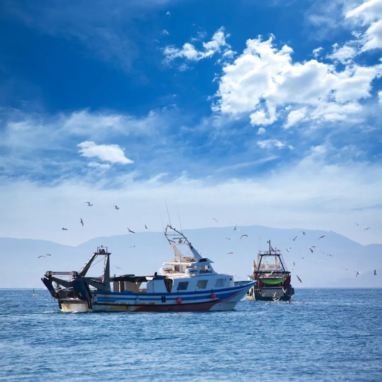 漁船海上作業(yè)場(chǎng)景